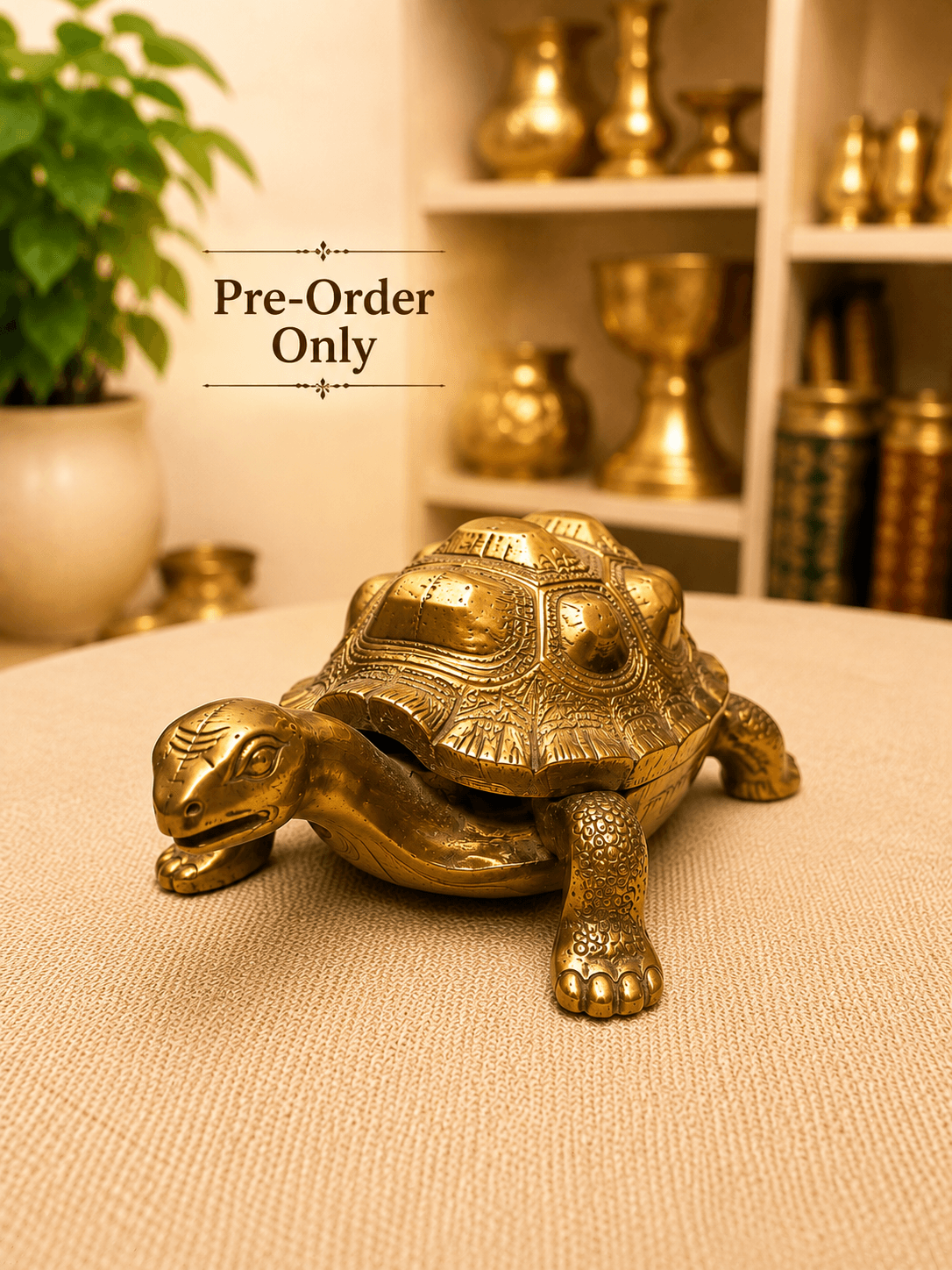 Brass Turtle Statue